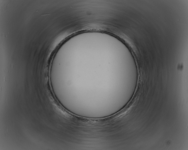 X0000094061075200710190927