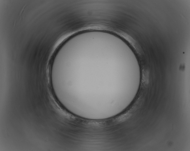 X0000094061078200710190927