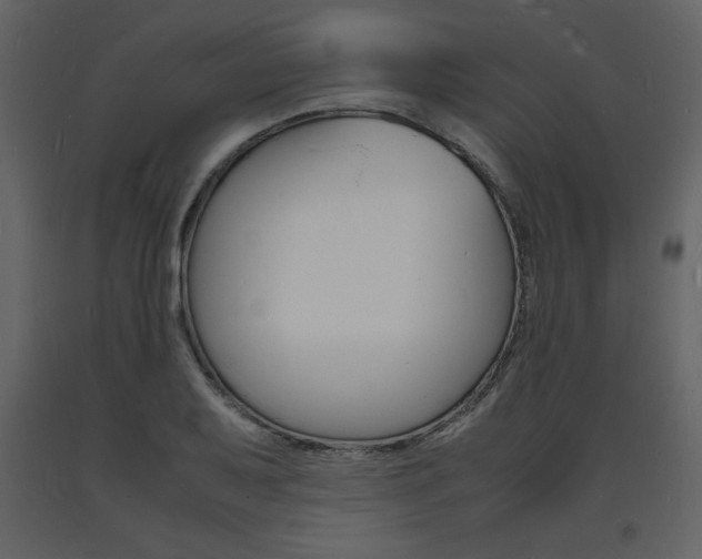 X0000094061079200710190927