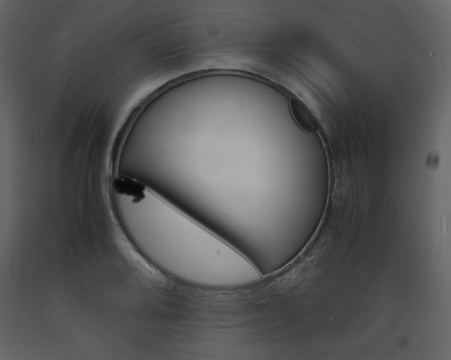 X0000094061080200710190927