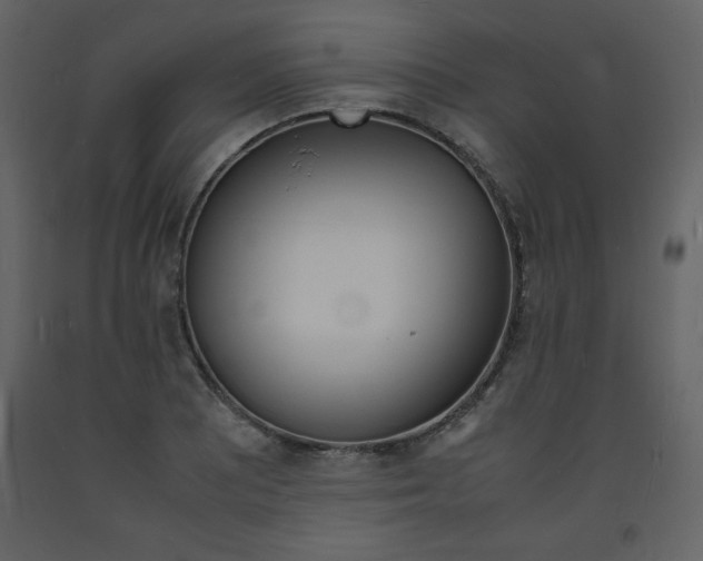 X0000094061081200710190927