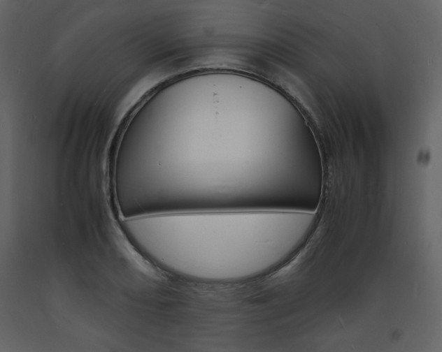 X0000094061082200710190927