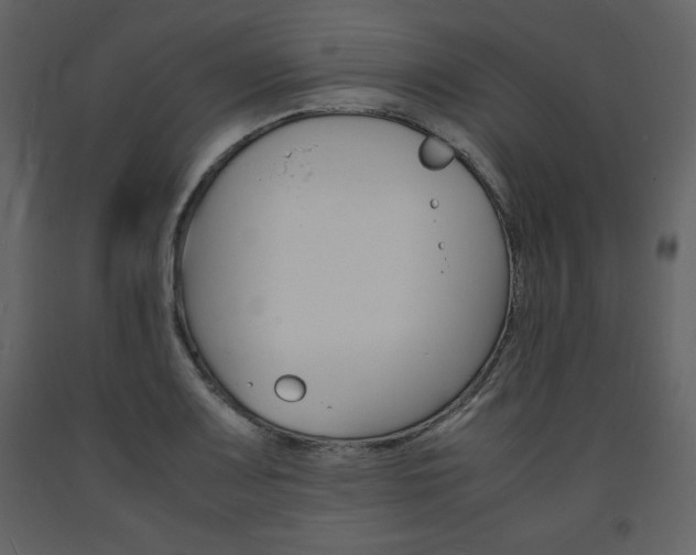 X0000094061083200710190927