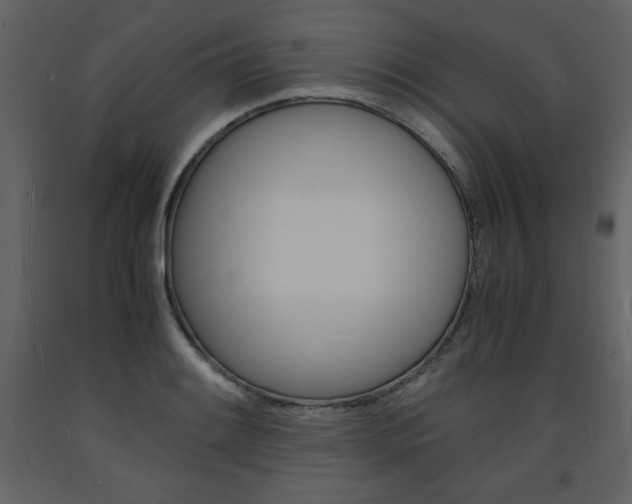 X0000094061084200710190927