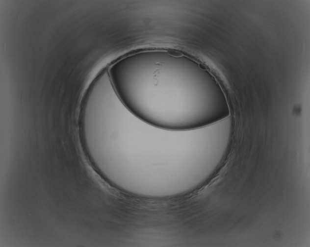 X0000094061085200710190927
