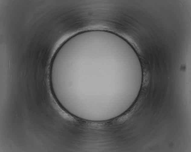 X0000094061086200710190927