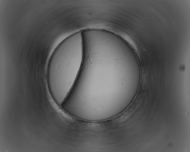 X0000094061088200710190927