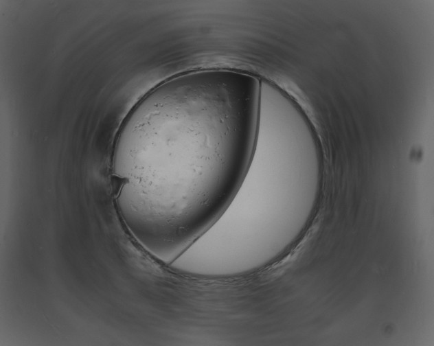 X0000094061089200710190927