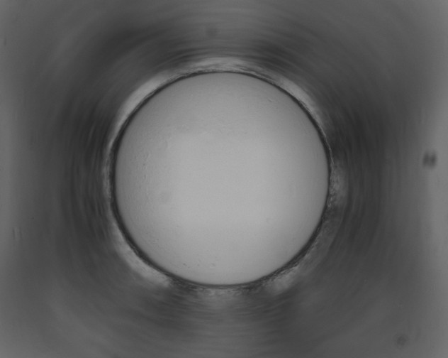 X0000094061090200710190927