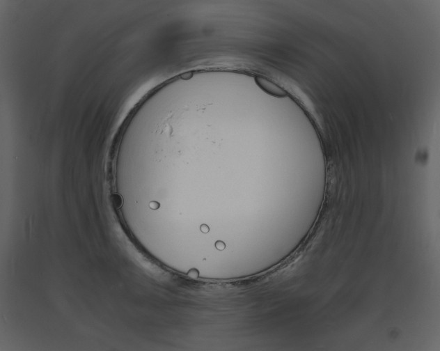 X0000094061091200710190927