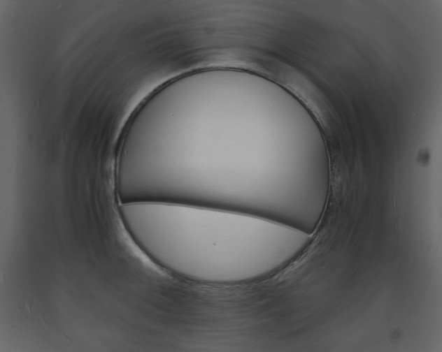 X0000094061092200710190927