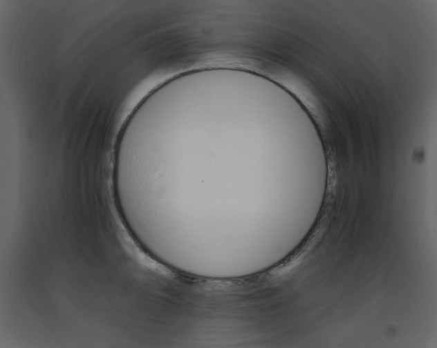 X0000094061094200710190927