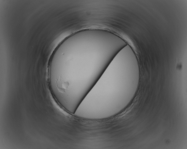 X0000094061095200710190927