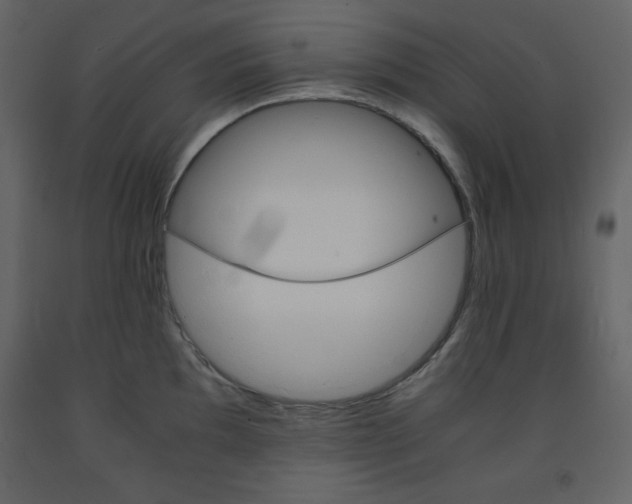 X0000094061097200710190926