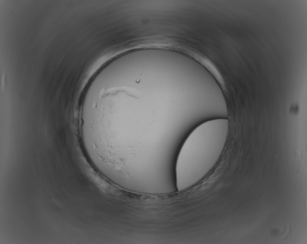 X0000094061099200710190926