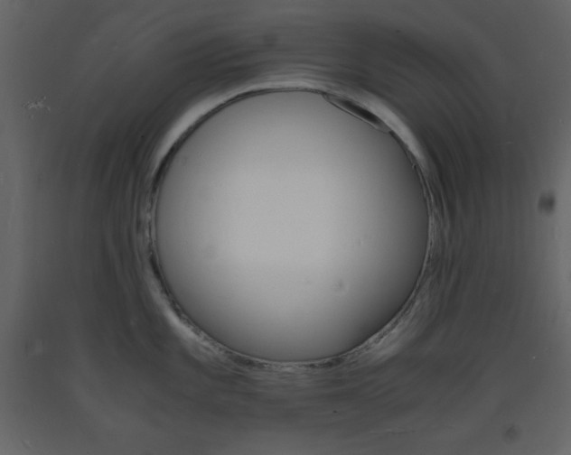 X0000094061101200710190926