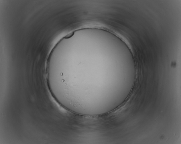 X0000094061103200710190926