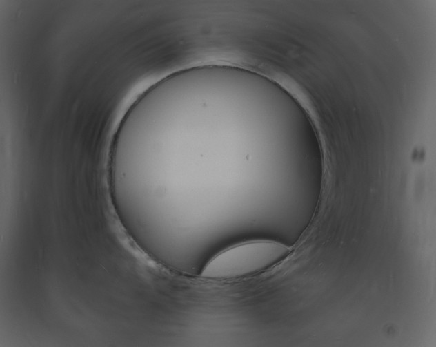 X0000094061104200710190926