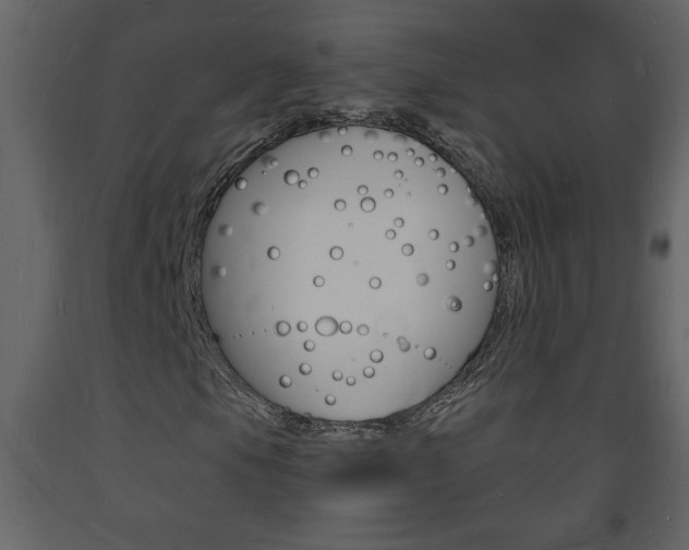 X0000094061105200710190926