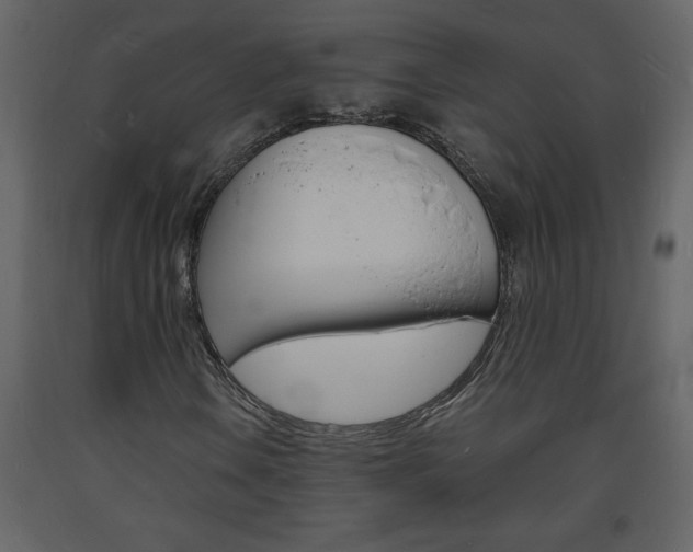 X0000094061106200710190926