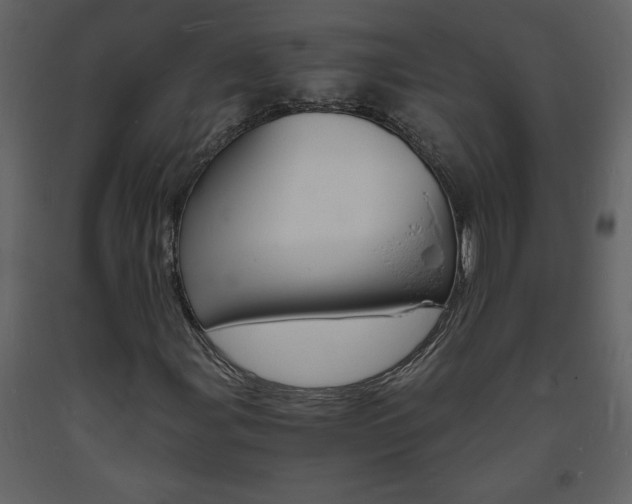 X0000094061107200710190926