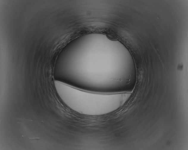 X0000094061108200710190926