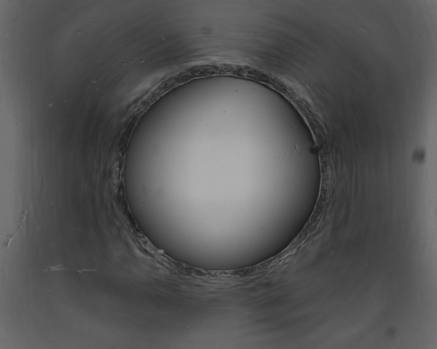 X0000094061110200710190926