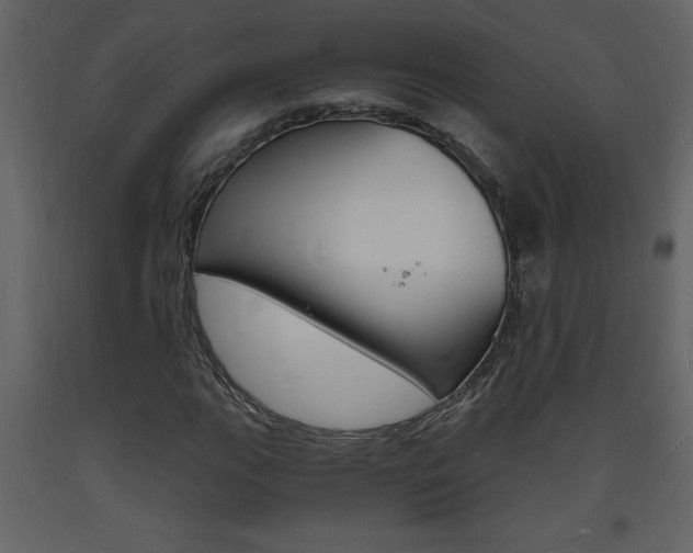 X0000094061111200710190926