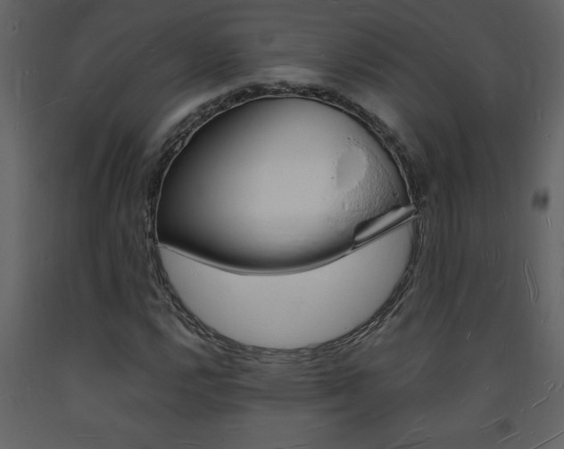 X0000094061112200710190926