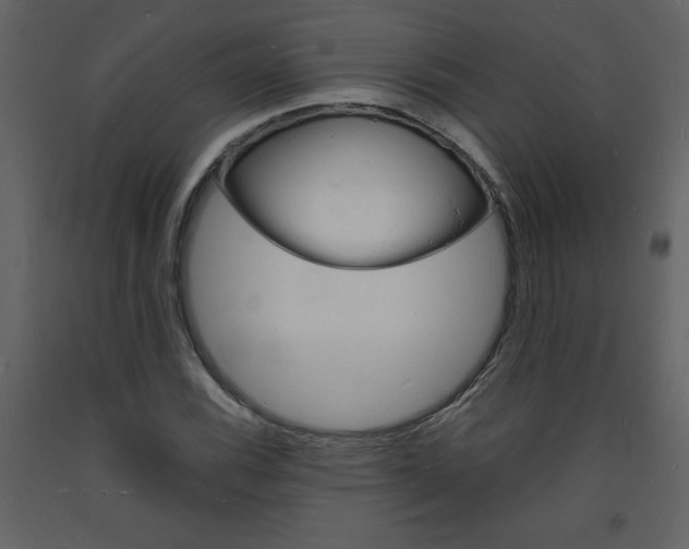 X0000094061116200710190926
