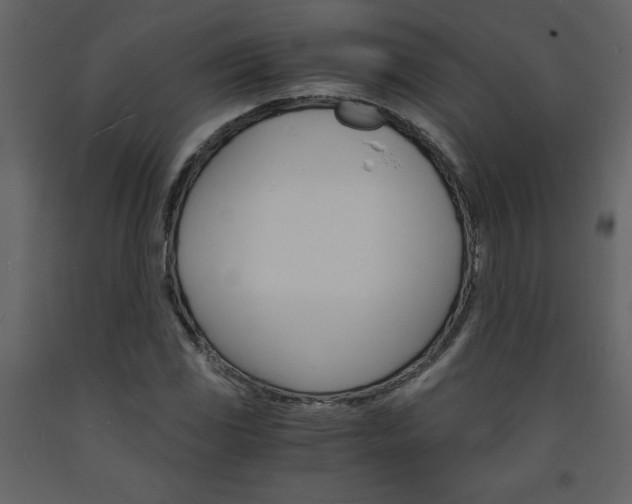 X0000094061117200710190926