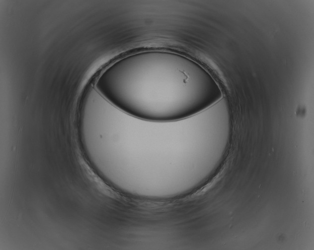 X0000094061122200710190926