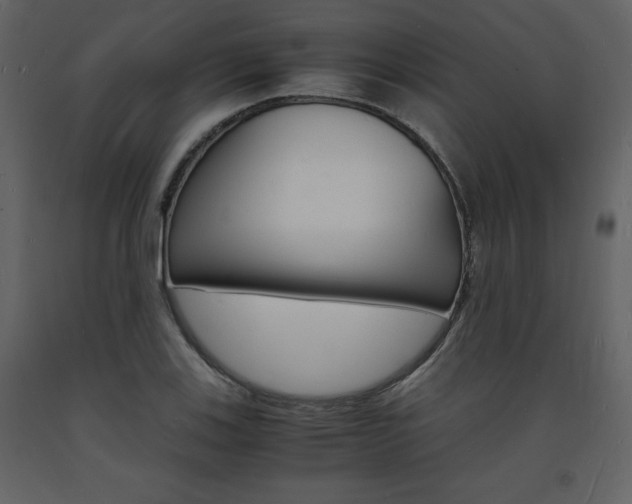 X0000094061123200710190926