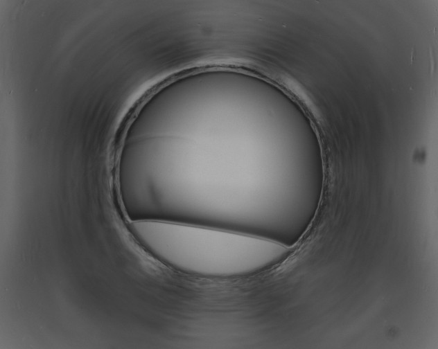 X0000094061124200710190926