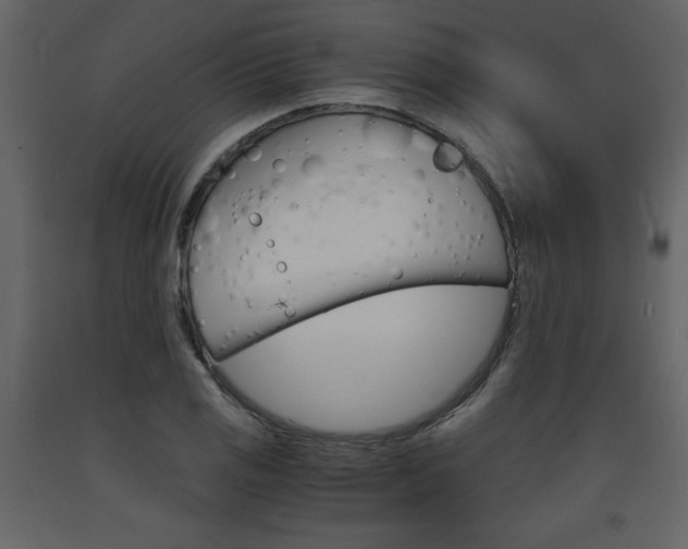X0000094061125200710190926