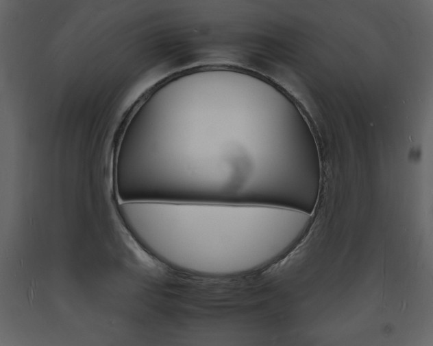 X0000094061127200710190926