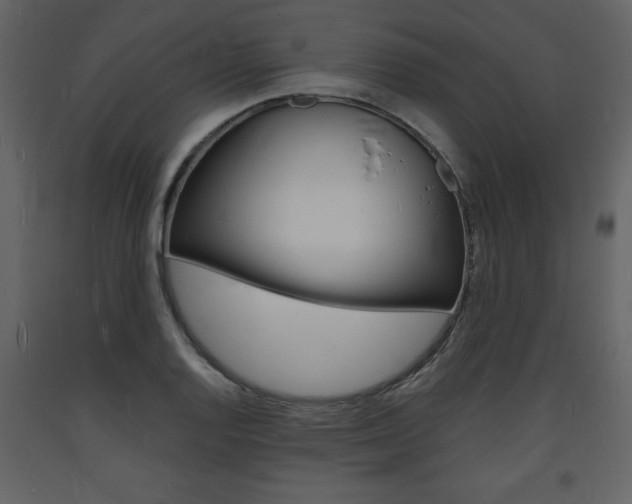 X0000094061128200710190926