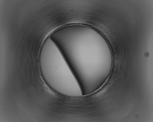 X0000094061129200710190926