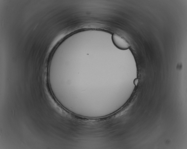 X0000094061130200710190926