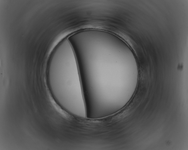 X0000094061131200710190926