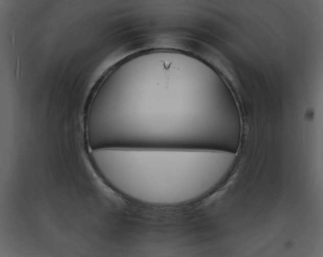 X0000094061133200710190926