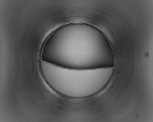 X0000094061134200710190926
