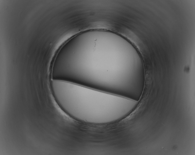 X0000094061135200710190926