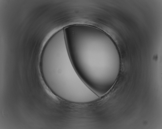 X0000094061136200710190926