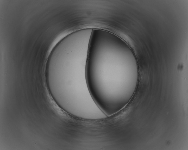 X0000094061138200710190926