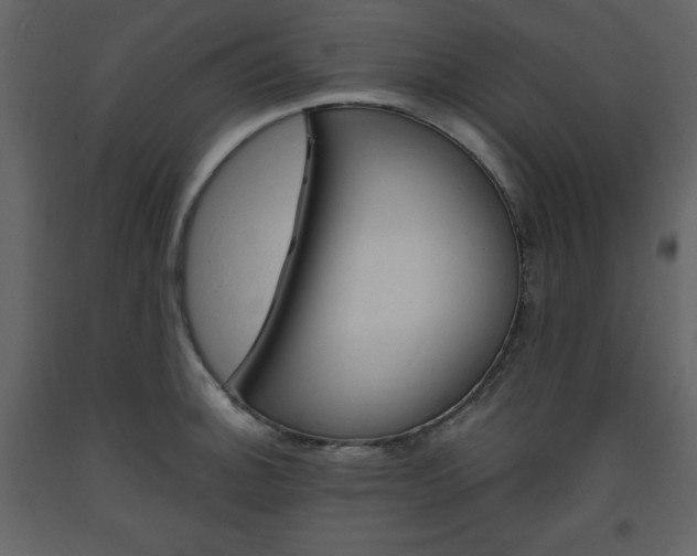 X0000094061140200710190926