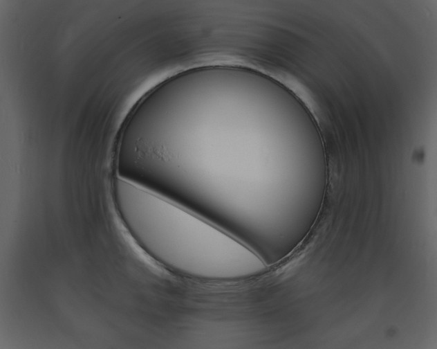 X0000094061142200710190926