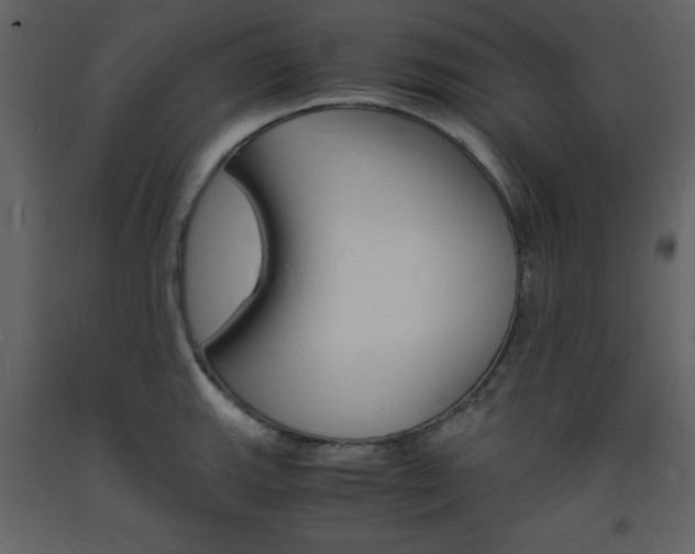 X0000094061143200710190926