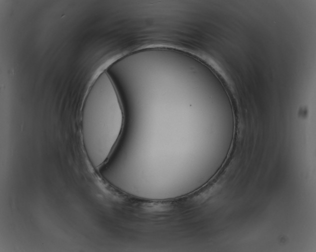X0000094061145200710190926