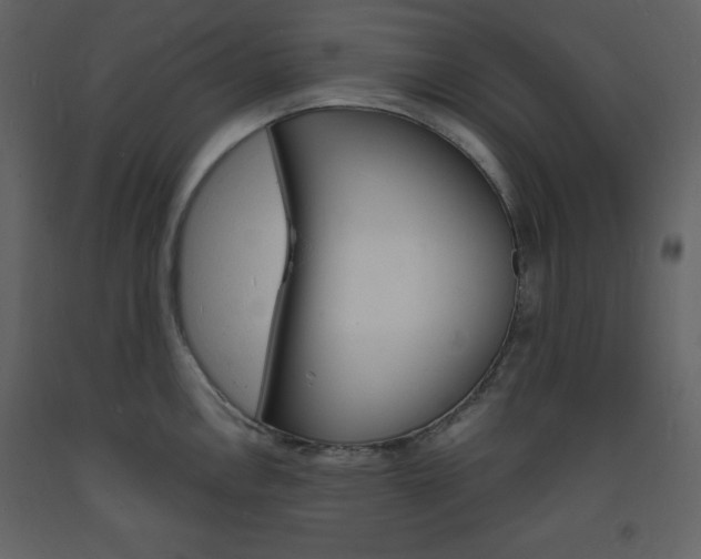 X0000094061146200710190926
